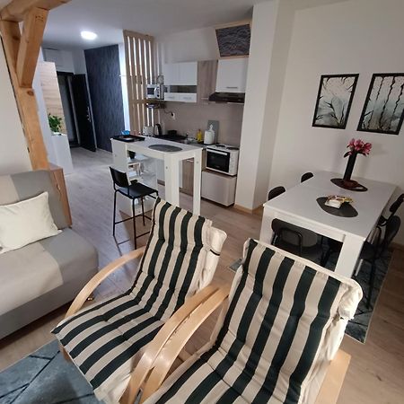 Apartmani S - Dsn Kraljevo Esterno foto