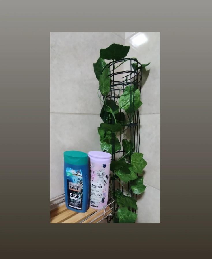 Apartmani S - Dsn Kraljevo Esterno foto