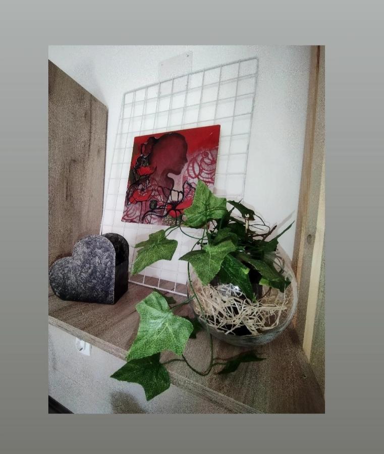 Apartmani S - Dsn Kraljevo Esterno foto